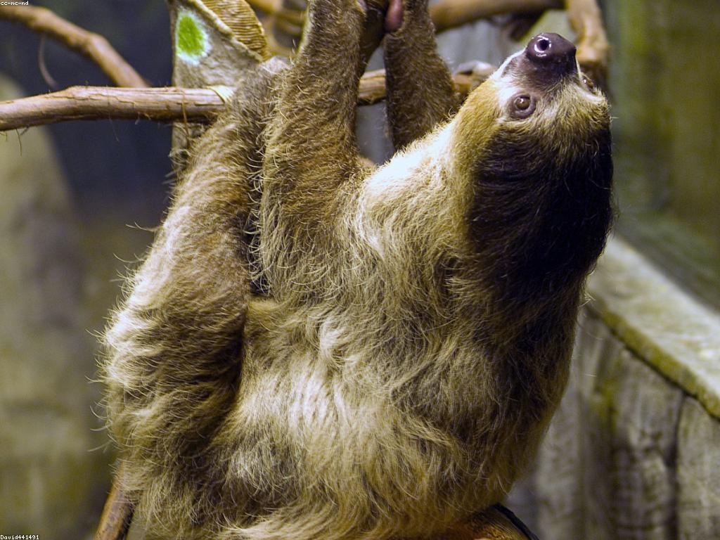 អត្ថប្រយោជន៍នៃការសិក្សាអំពីស្លត