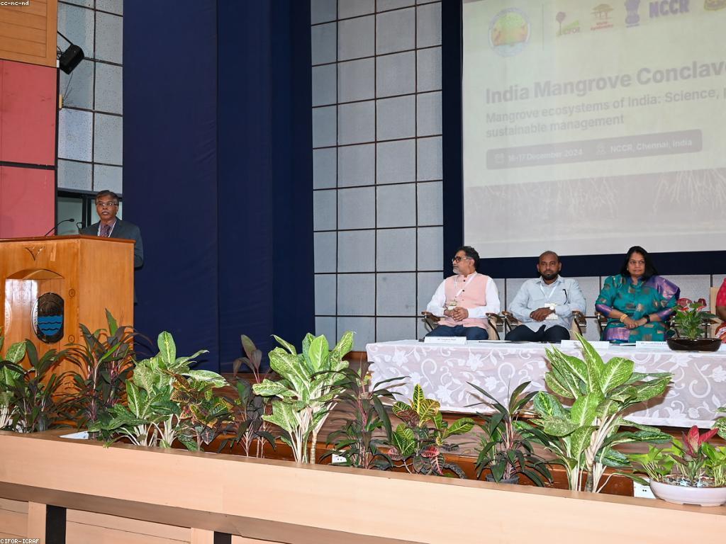 ចំណេះដឹងពីស្លត